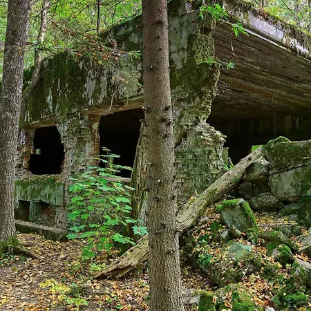 Mazury كونتشن